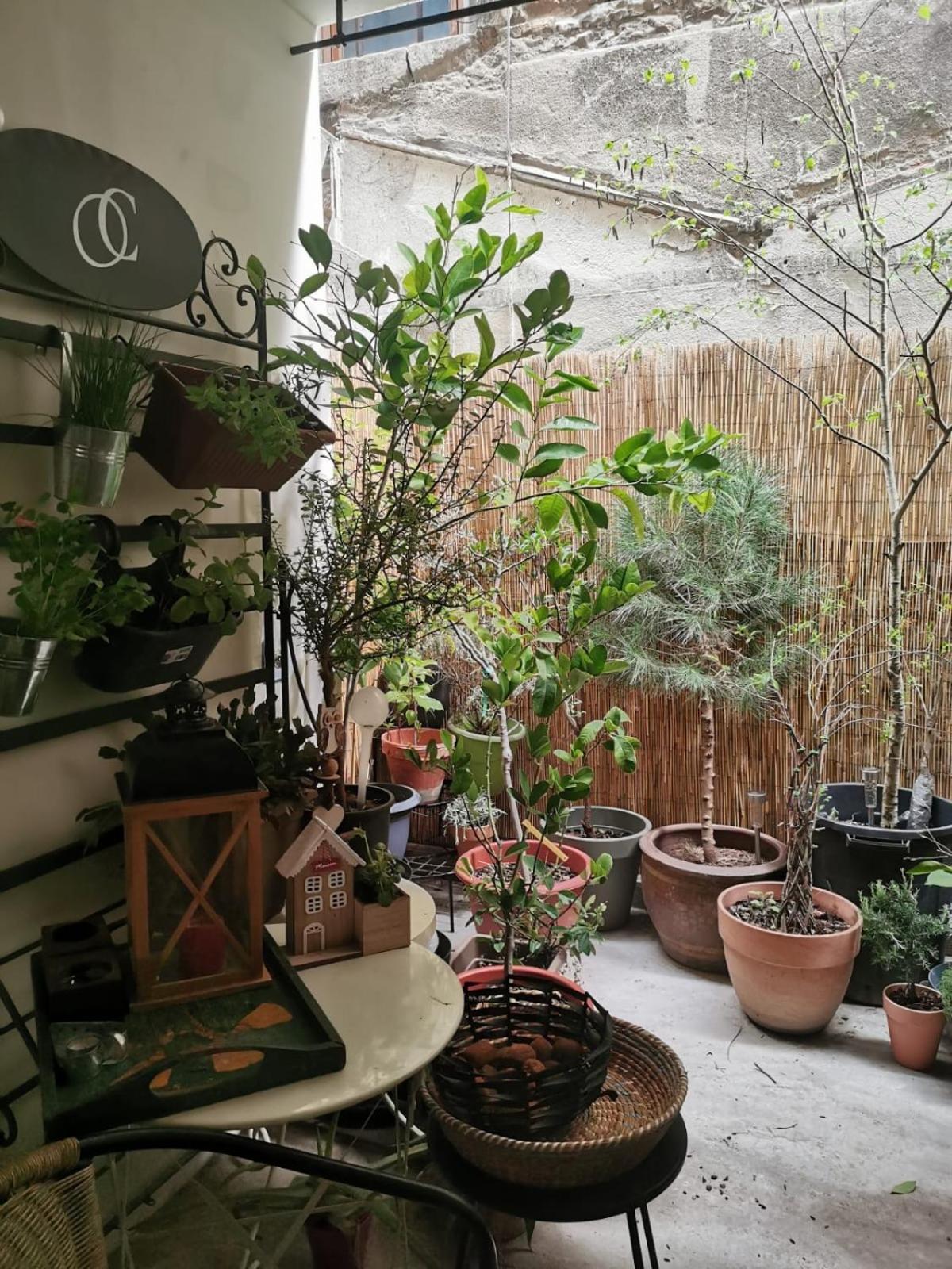 La Maison D'Aromarie Tournus Kültér fotó